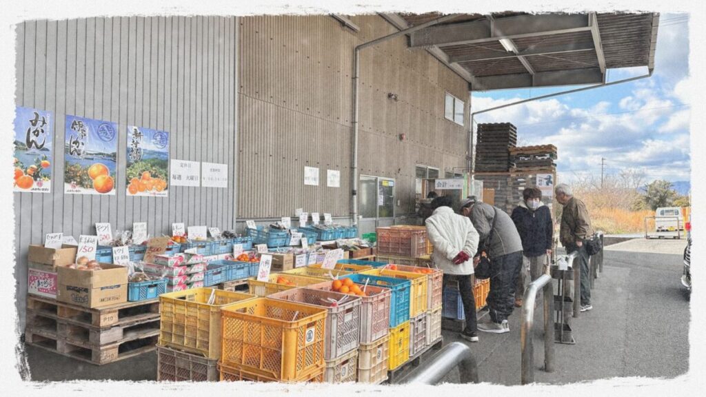 みかんの愛媛ブランドを知れる田舎暮らし