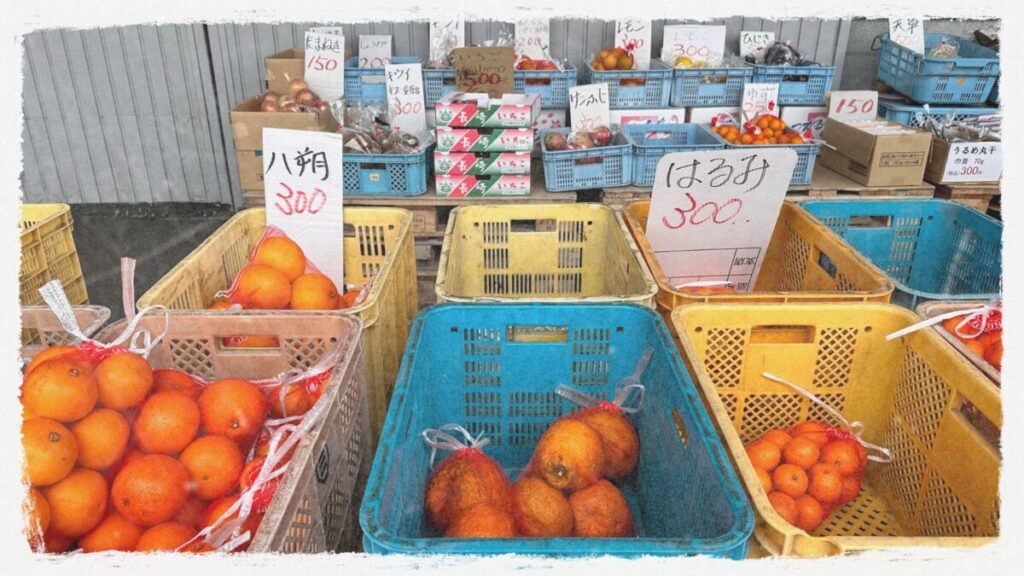 みかんと田舎暮らし
