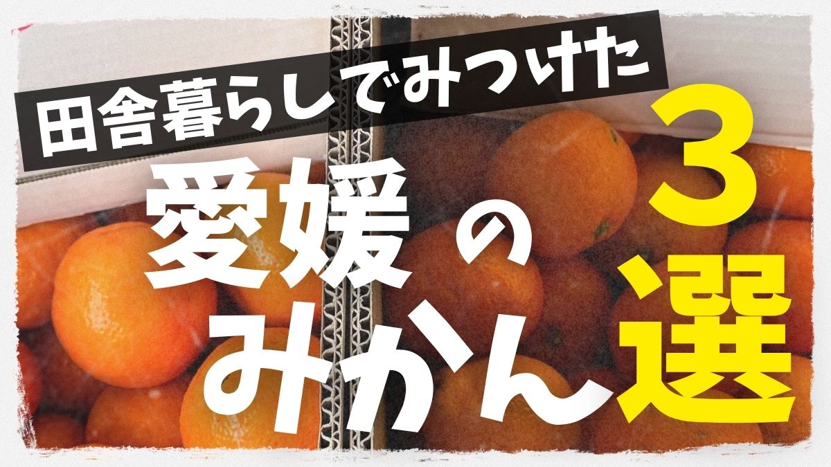 みかん王国愛媛の田舎暮らし おすすめブランドみかん3選のサムネイル