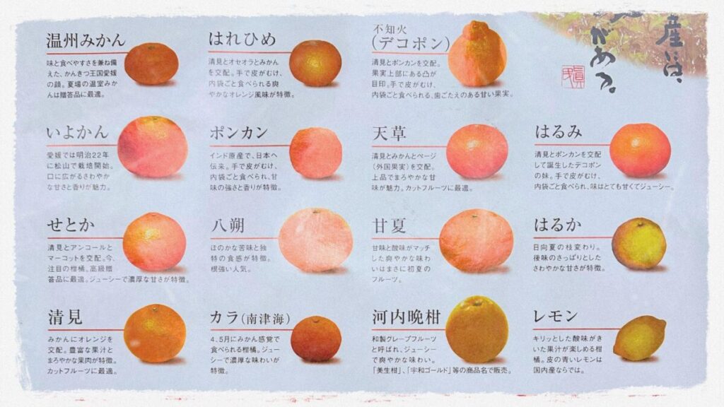 みかん王国愛媛の田舎暮らしで見つけた!おすすめブランドみかん3選